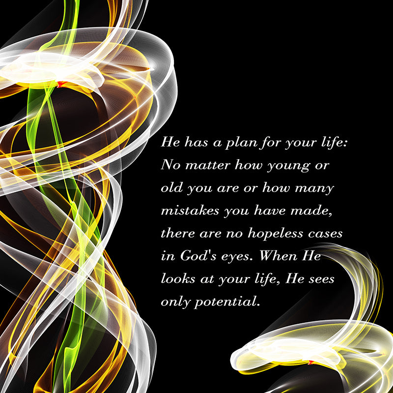 He has a plan for your life-2... (Canvas Print in unglass frame) Free Shipping